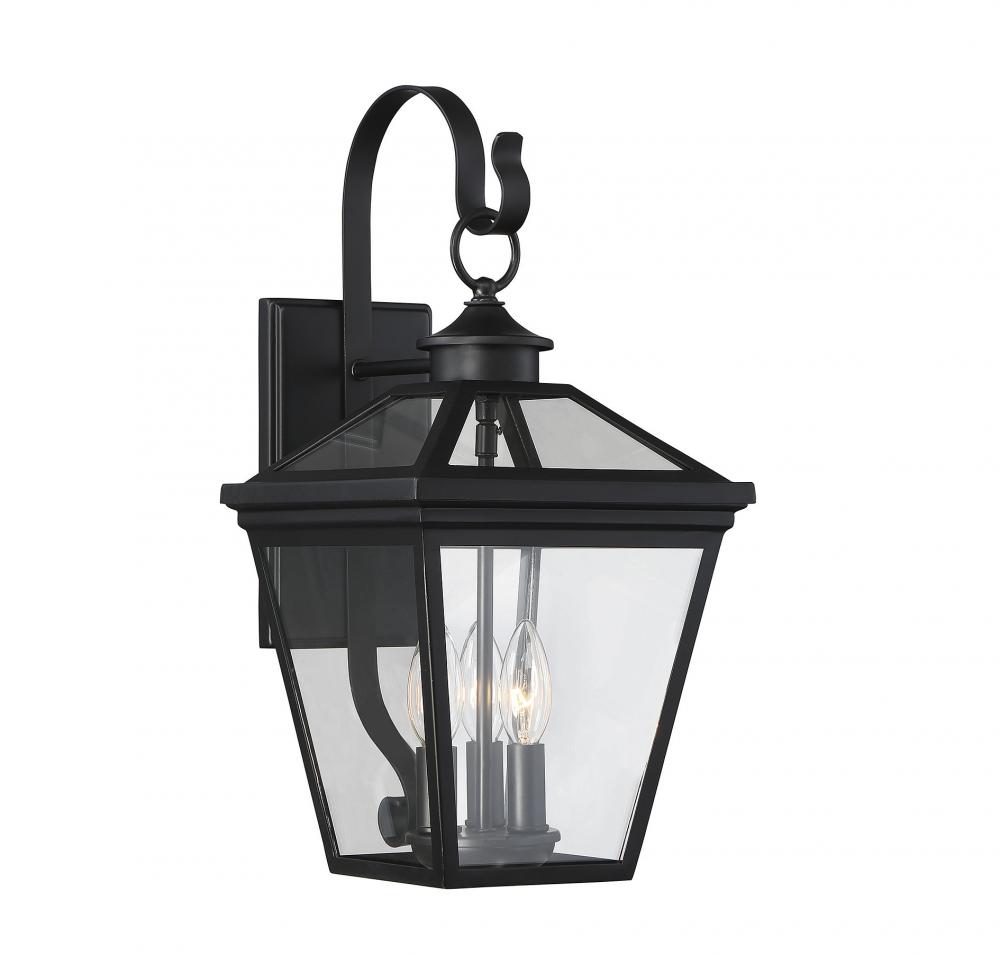 Ellijay 3-Light Outdoor Wall Lantern in Black