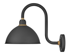  10564TK - Medium Tall Gooseneck Barn Light