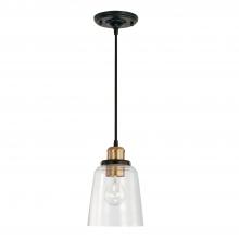  3718AB-135 - 1 Light Pendant