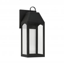  946311BK-GL - 1 Light Outdoor Wall Lantern