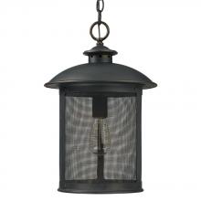 Exterior Foyer/Hall Lanterns