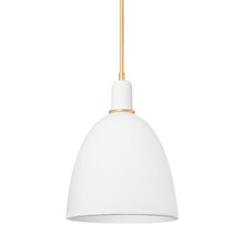  1717-VGL/CMI - 1 LIGHT PENDANT