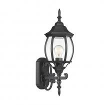  M50054BK - 1-Light Outdoor Wall Lantern in Black