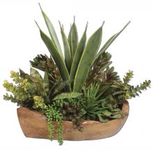  60119 - Salar Succulents In Teak Bowl